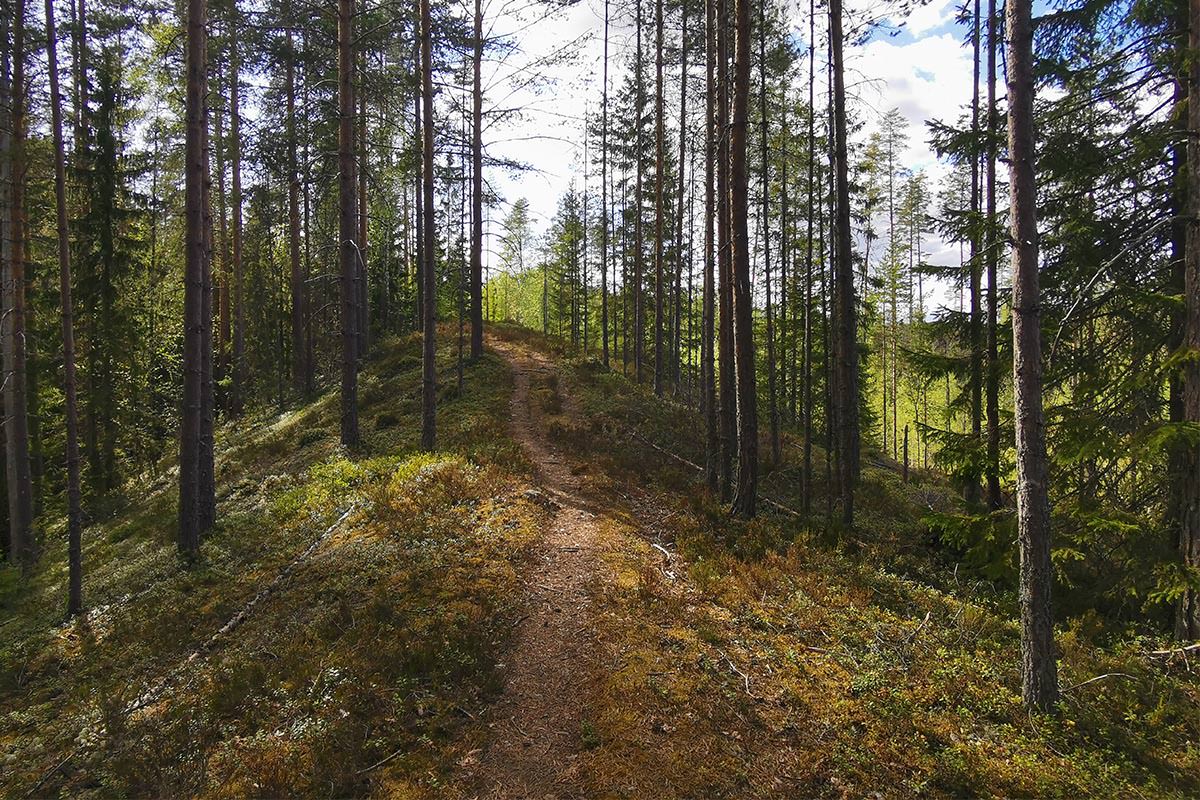 Kerimaa-Huosio suunnalla kannattaa kierrellä alueen polkuja