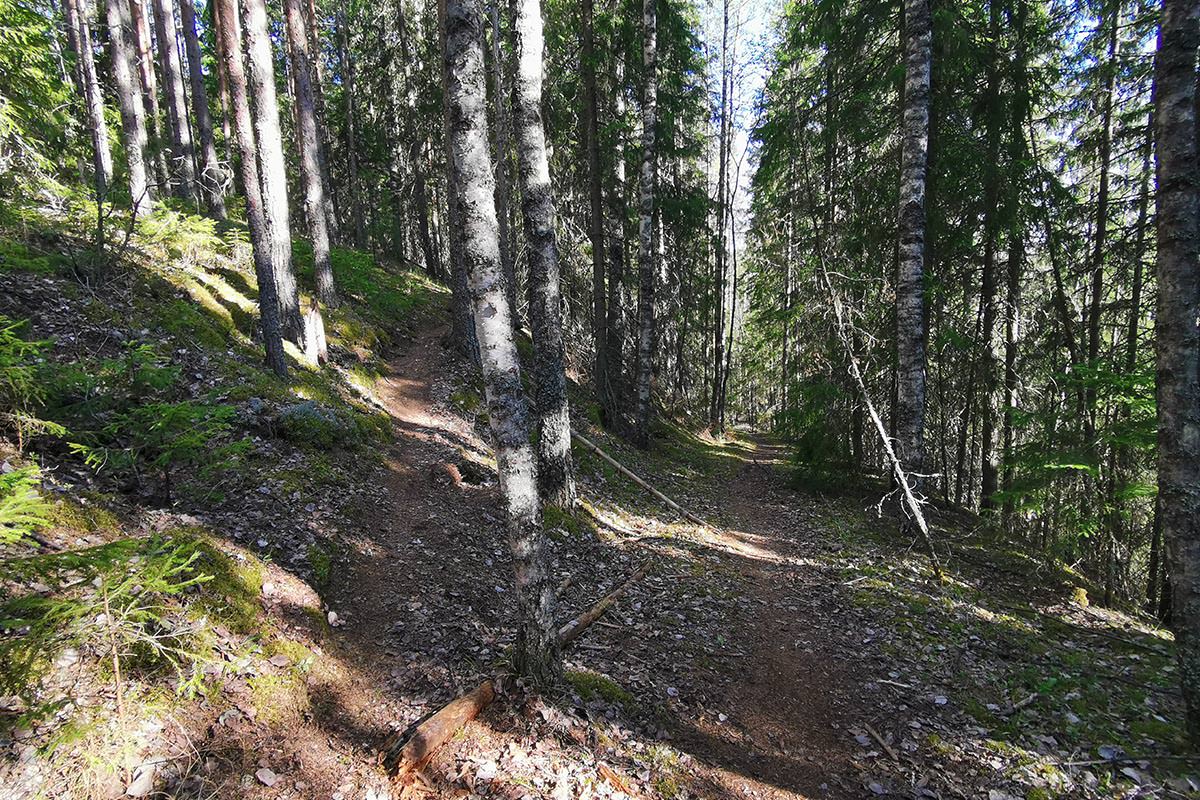 Takaisin Hiekkalahteen tultaessa merkitsemätön harjupolku vasemmalle, Pyhät Polut jatkuu suoraan