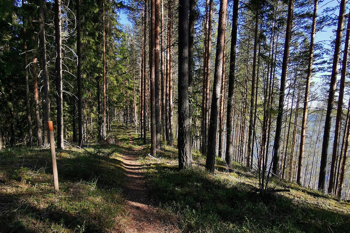 Kaunis Kulennoisenharju