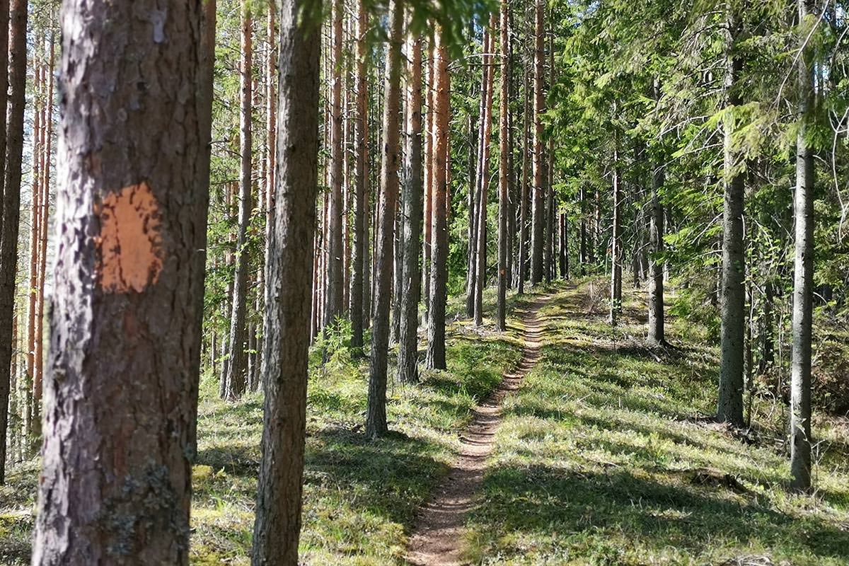 Kulennoisharju, oranssilla merkittyä Pyhät Polut-vaellusreittiä